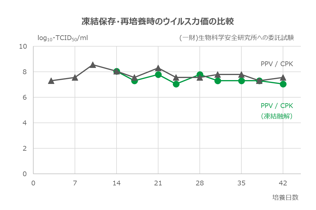 凍結保存・再培養